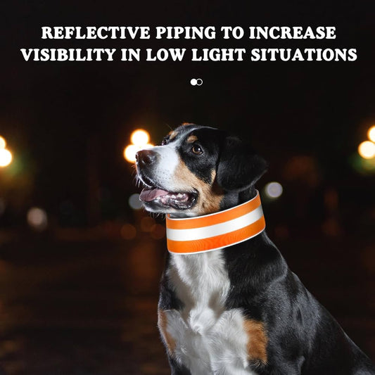 Reflective Night Safety Collar