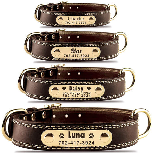 Premium Custom Dog Collar with Engraved Name Tag