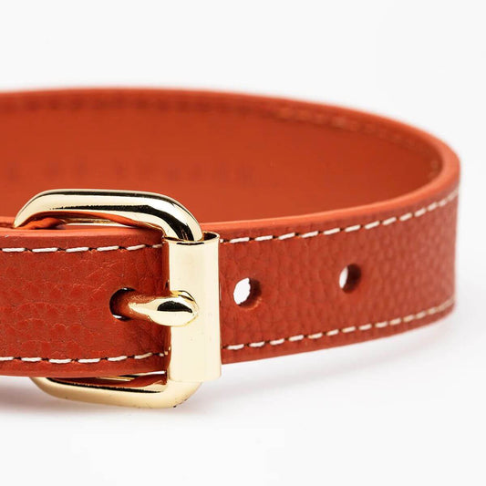 HoomanHug Signature Dog Collar