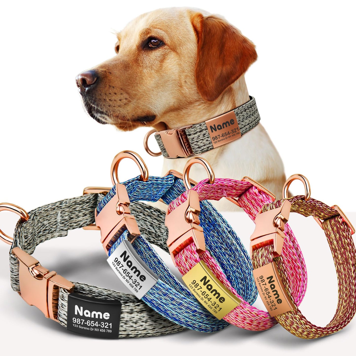 Premium Custom Dog Collar with Engraved Name Tag
