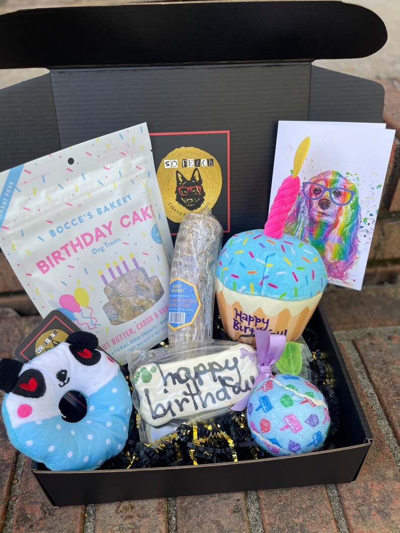Dog Birthday Gift Box – Limited Edition 🎉
