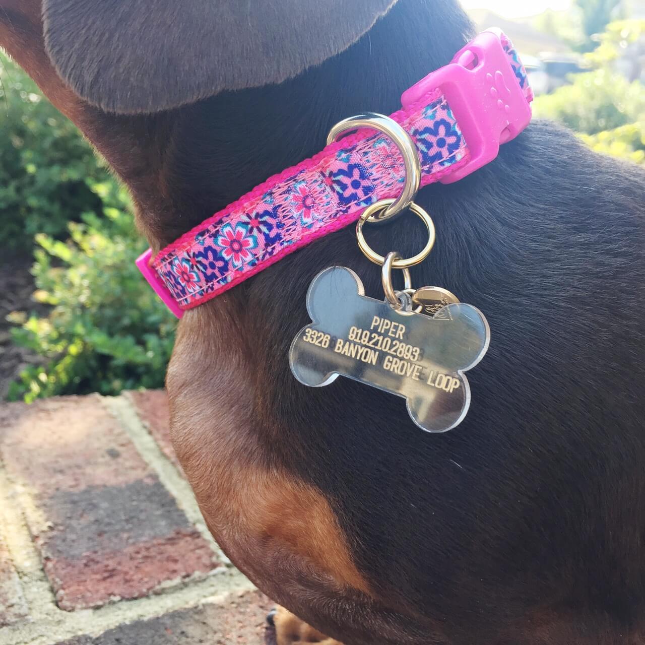 Personalized Dog ID Tag (Bone Shape)