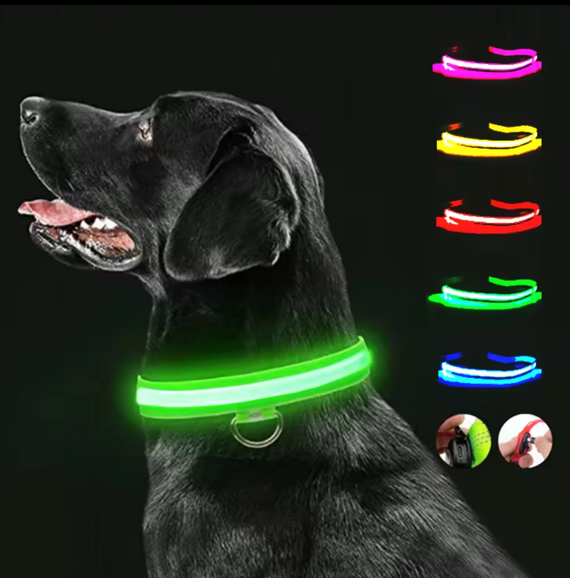 Reflective Night Safety Collar